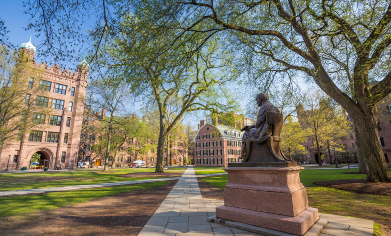 University of New Haven Scholarships 2024, USA