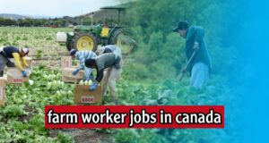 Jobs Openings At EURO FARMS INC. – Berkeley, ON