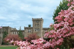 Manhattanville College Freshman Merit Dean’s Award, USA 2024/2025