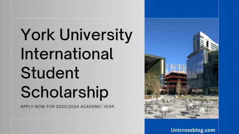 Grab Your Future: York University Scholarships for International Students