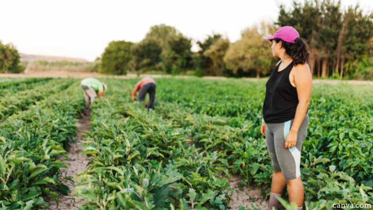 Skilled Worker With Free Visa Sponsorship – Farm Labourer