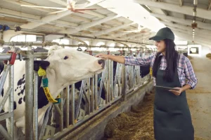 Work For Foreigners In Canada With Free Visa Sponsorship – Dairy Farm Worker