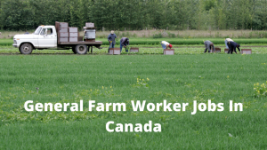 Farmer Is Urgently Needed In Fresh City Farms North York, ON