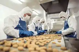 Frulact Is Now Hiring Factory Worker (Food Manufacturing) In Kingston, ON