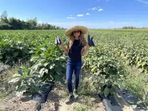 Vegetable Farm For Man/Woman With In Bradford West Gwillimbury, ON